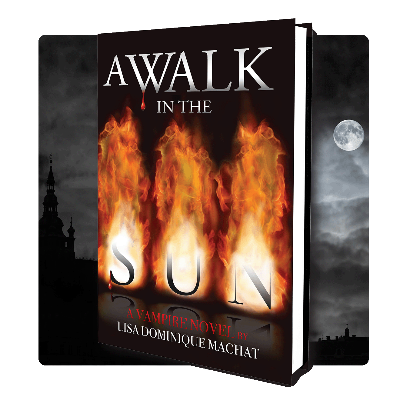 A WALK IN THE SUN - HARD COVER