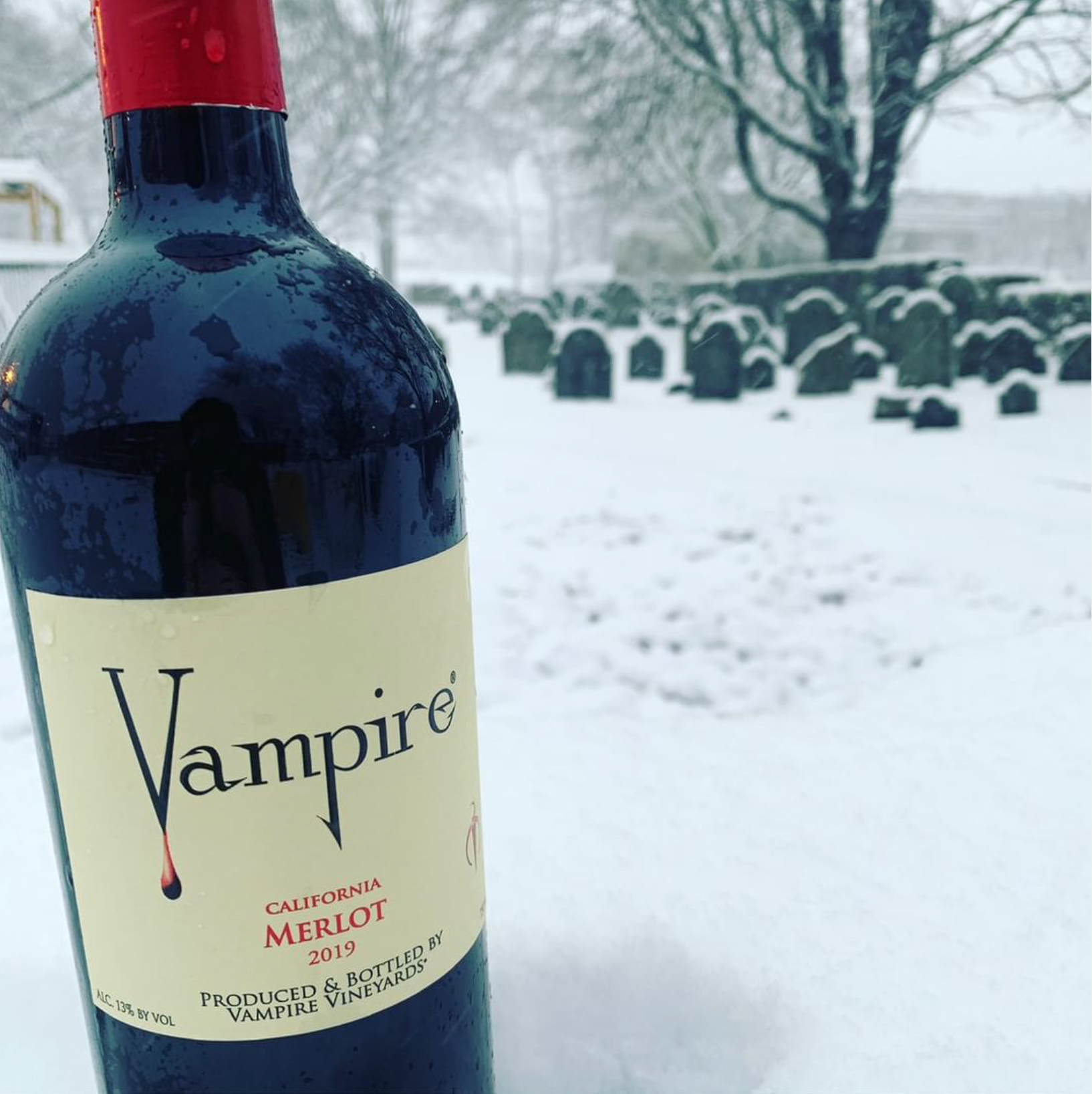 VAMPIRE® MERLOT 3 PACK